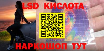 СК Краснодар