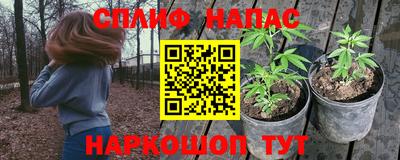 молекула духа Краснознаменск