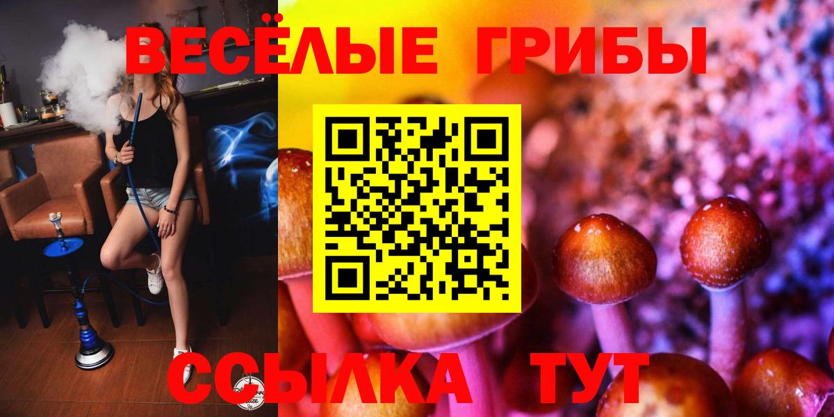 Псилоцибиновые грибы Psilocybine cubensis  Вход с VPN  Тольятти 